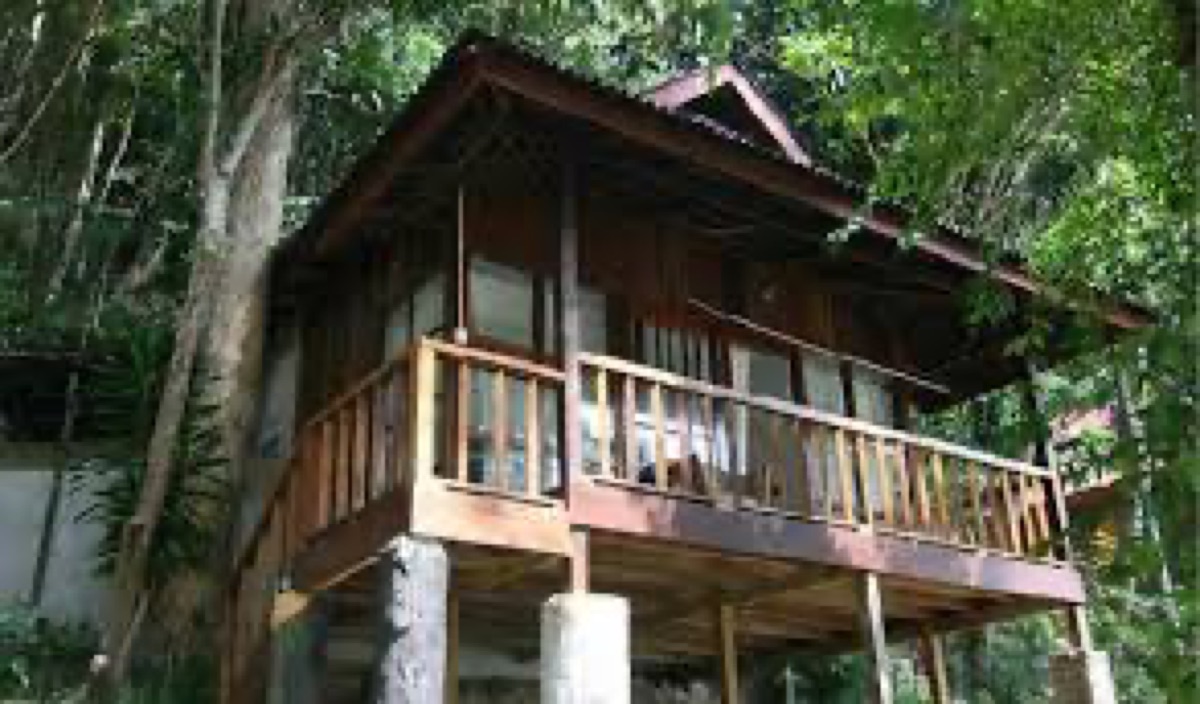 A timber chalet on stilts at Mango Chili, with a wraparound balcony, set back in the trees.